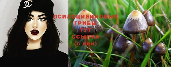 твердый Вязники