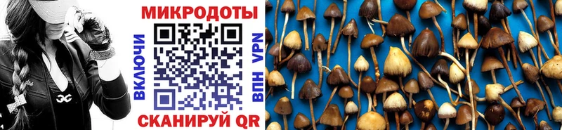 Галлюциногенные грибы прущие грибы  Купить где  Ейск 